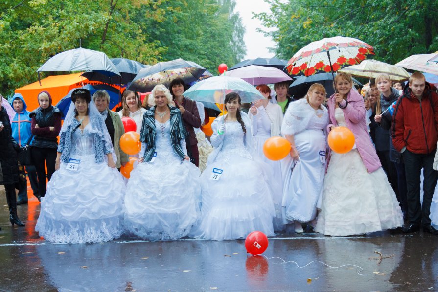 *** Парад невест *** - Виталий Вердиш