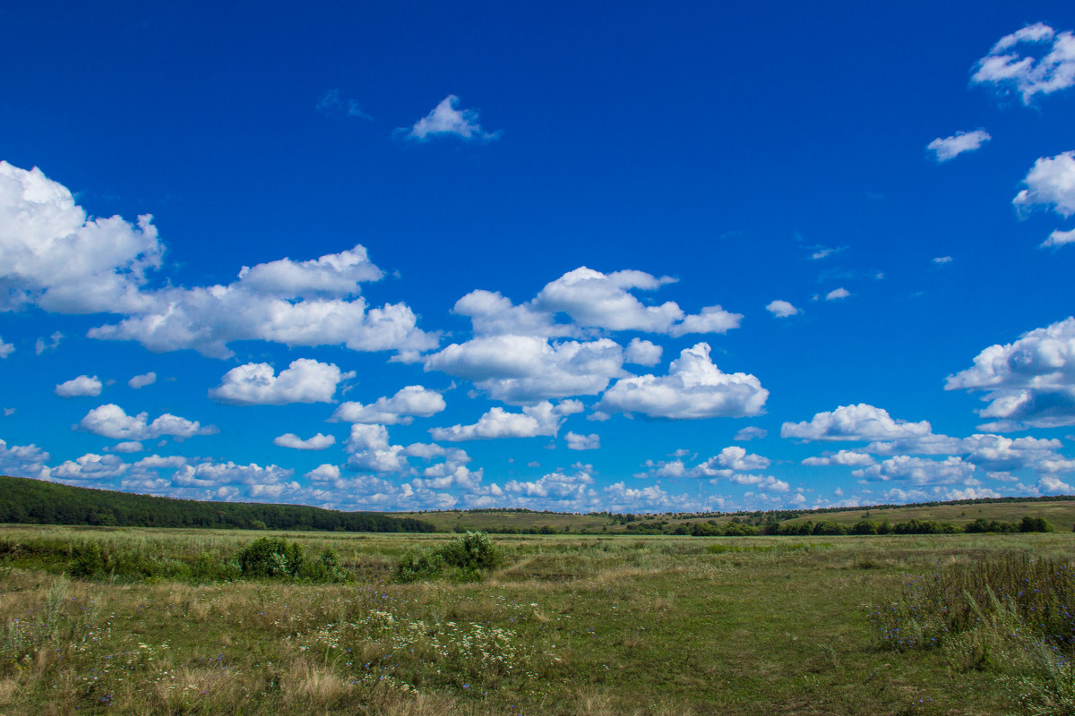 Природа - Александр Малахов