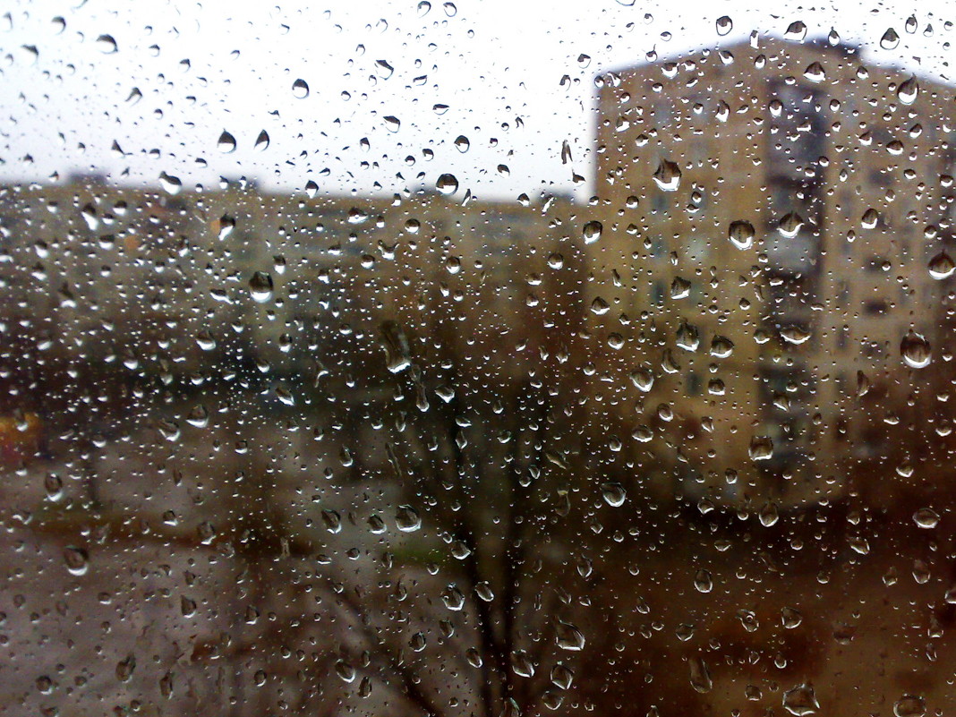 Осень. Вид из окна - Дмитрий Васильев