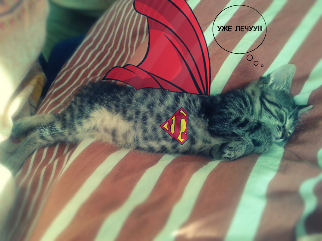 Мой маленький звездный Спаситель — Супермен! - Александра Афанасенко