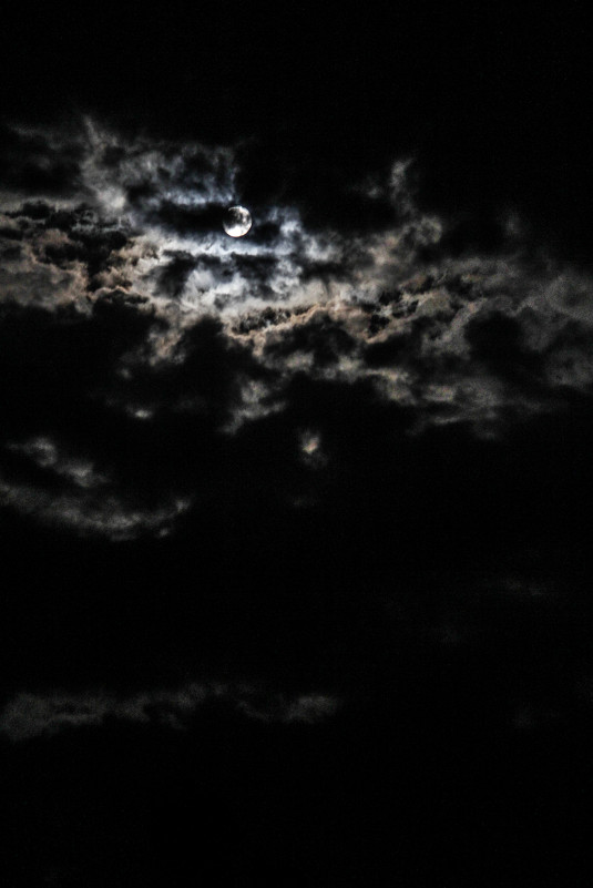 Ночное небо - Арина 