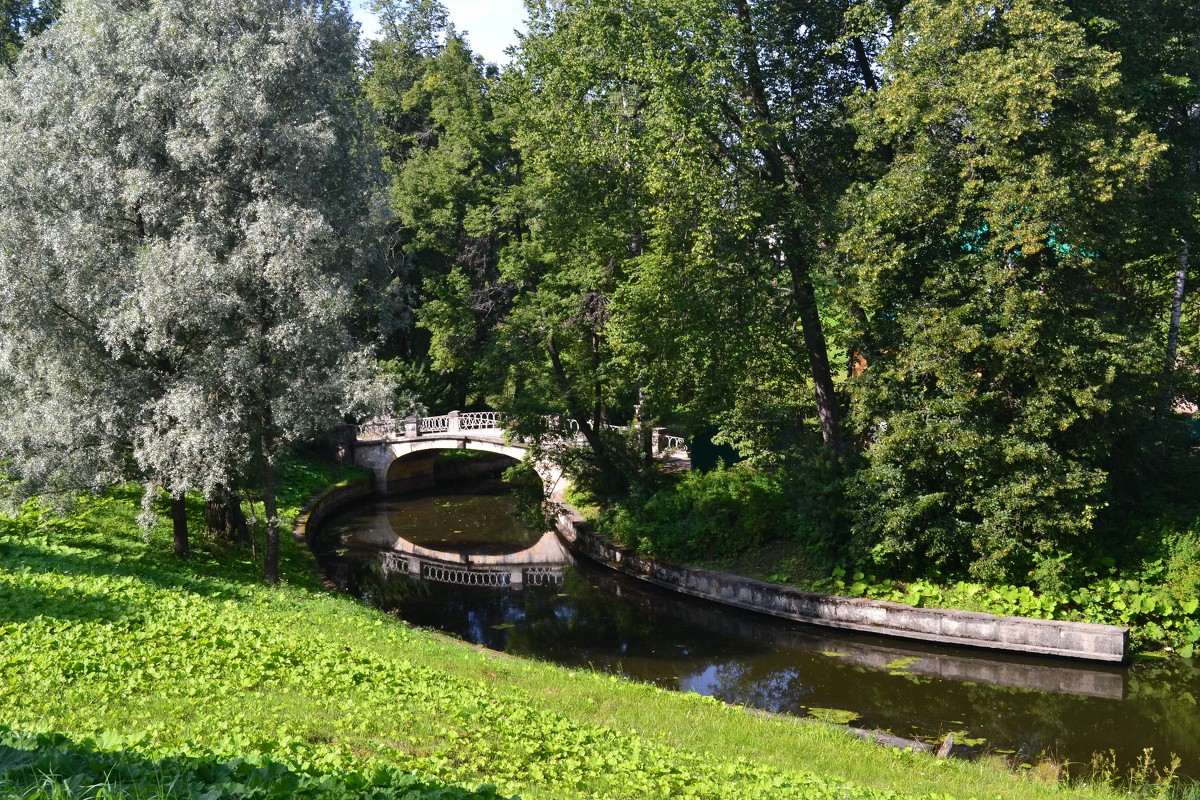 мостик в парке - Igor Osh
