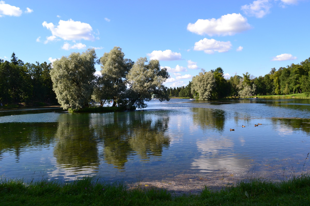 Водоёмы Ропша