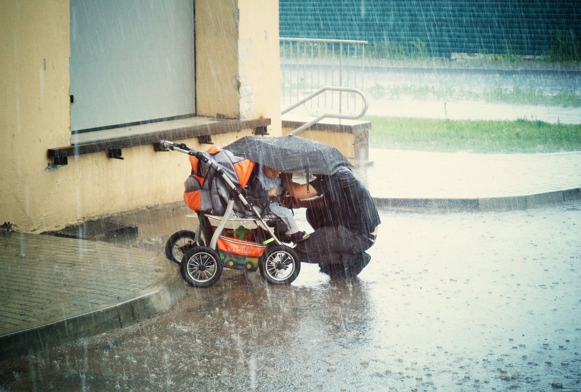 Отец прячет детей от дождя - Виктория Альшанец