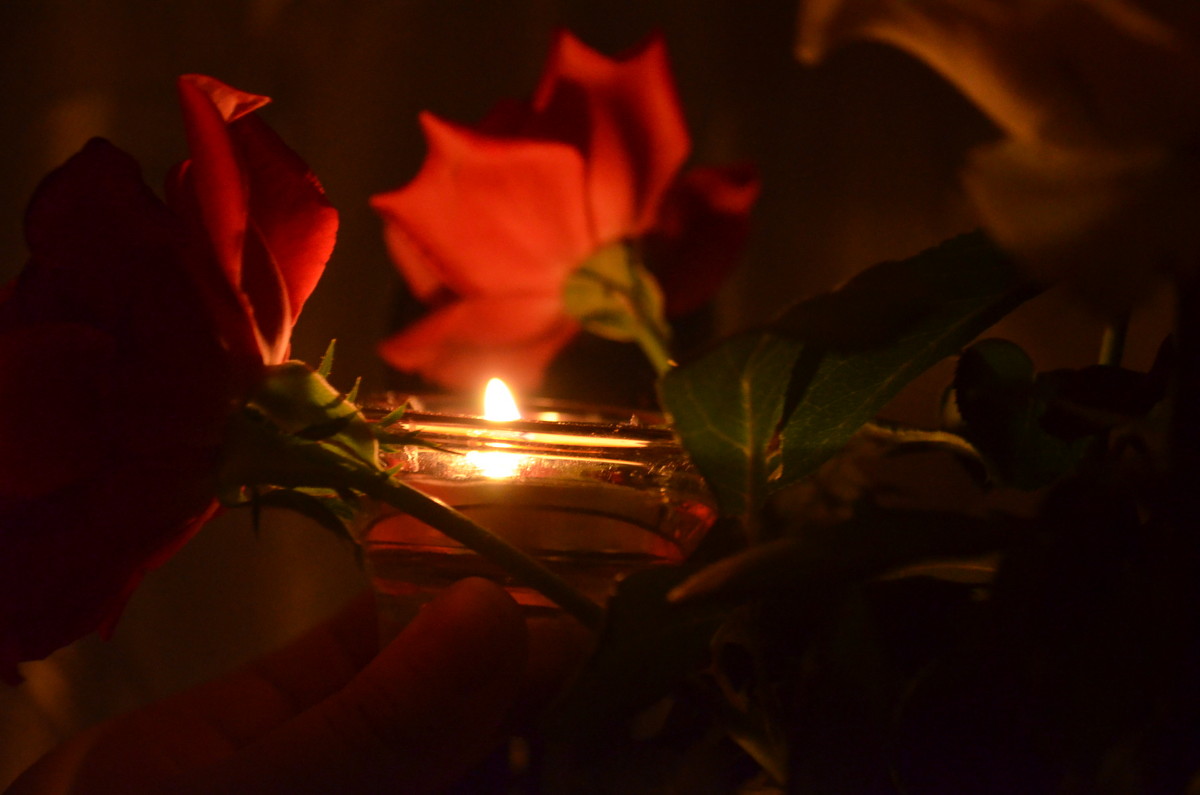 Роза и свеча - Марина Пономарева