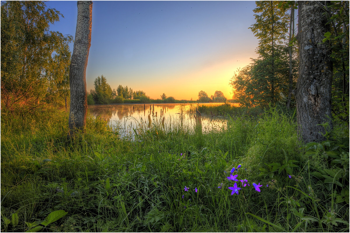 Утро на лесном озере - Nikita Volkov