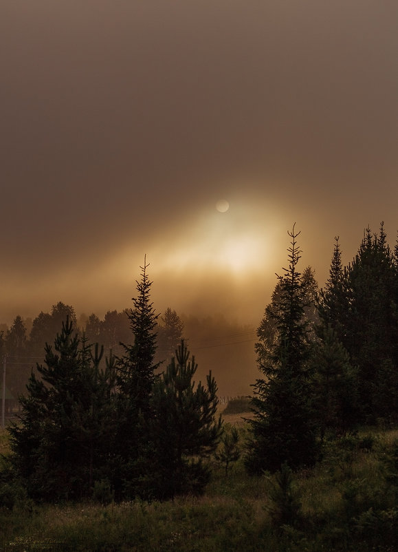 Солнце в тумане - евгения 