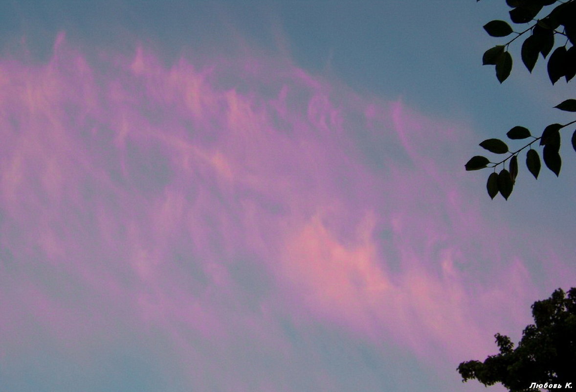 Розовые вечерние облака....... - Любовь К.