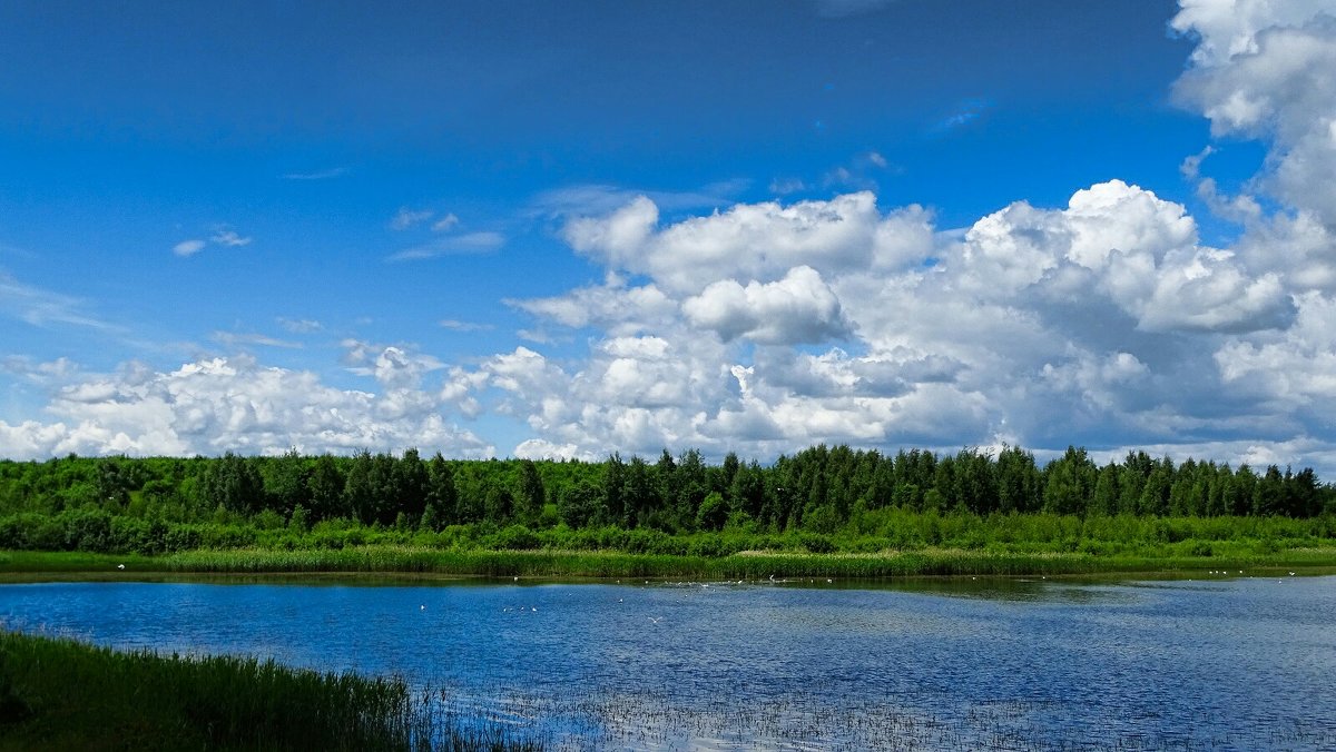 озеро пенеснарь смоленск