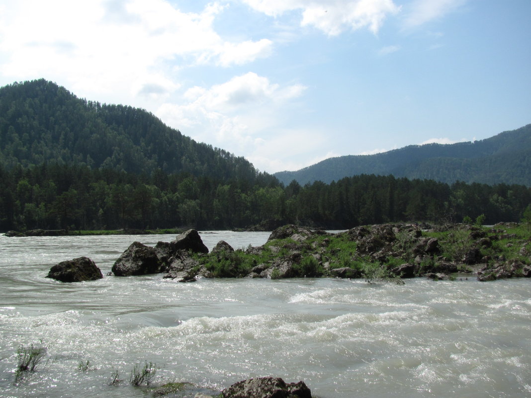 река Катунь - Наталья Кочетова 