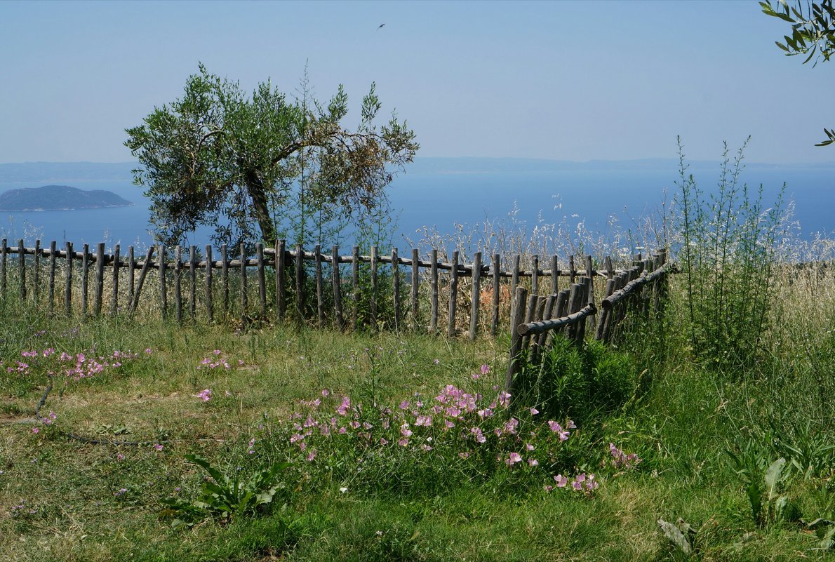 Забор и море - IURII 