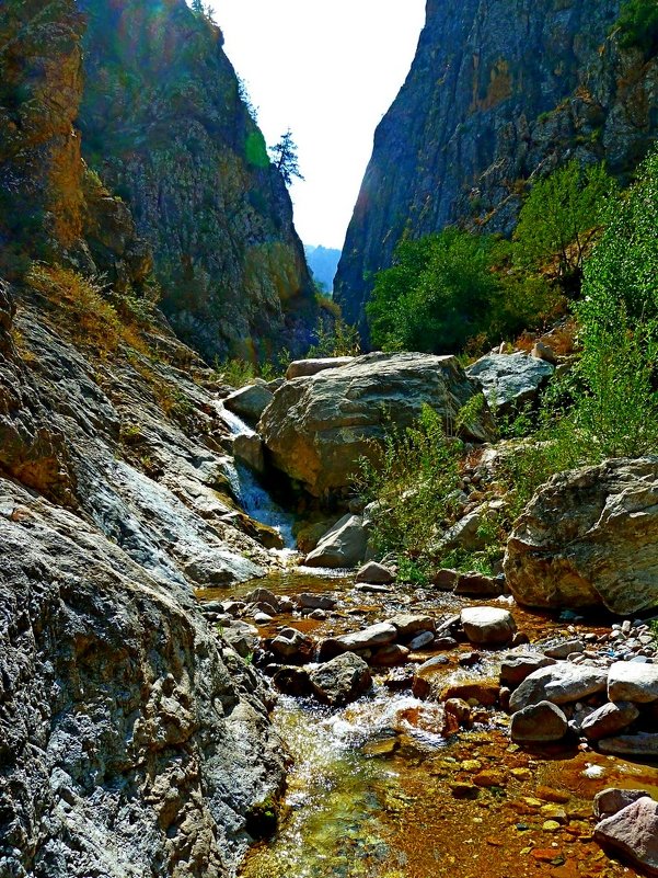 ОСЕННЯЯ ПРОГУЛКА. - Виктор Осипчук