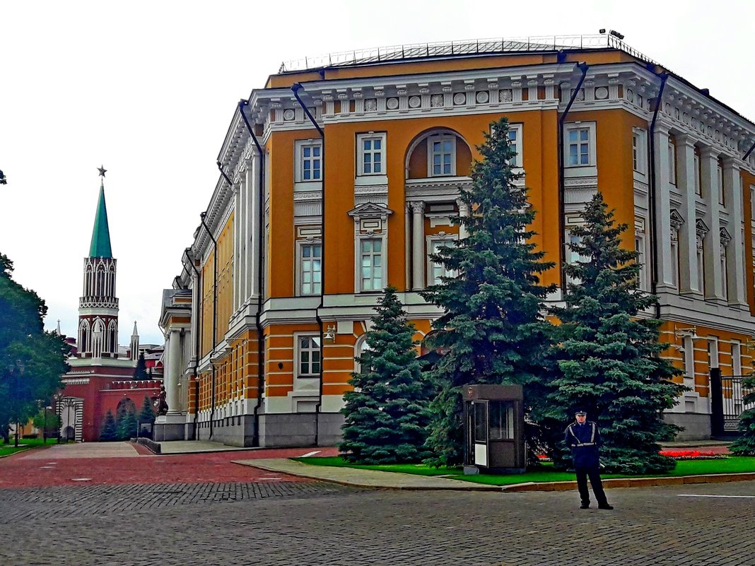 Здание Сената в Московском Кремле - Tata Wolf
