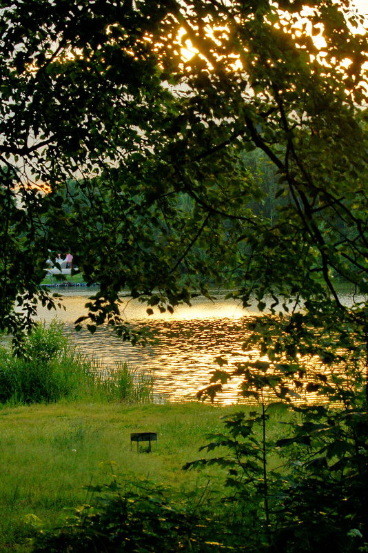 Вечерняя прогулка вдоль Малаховского озера - Олег Пучков