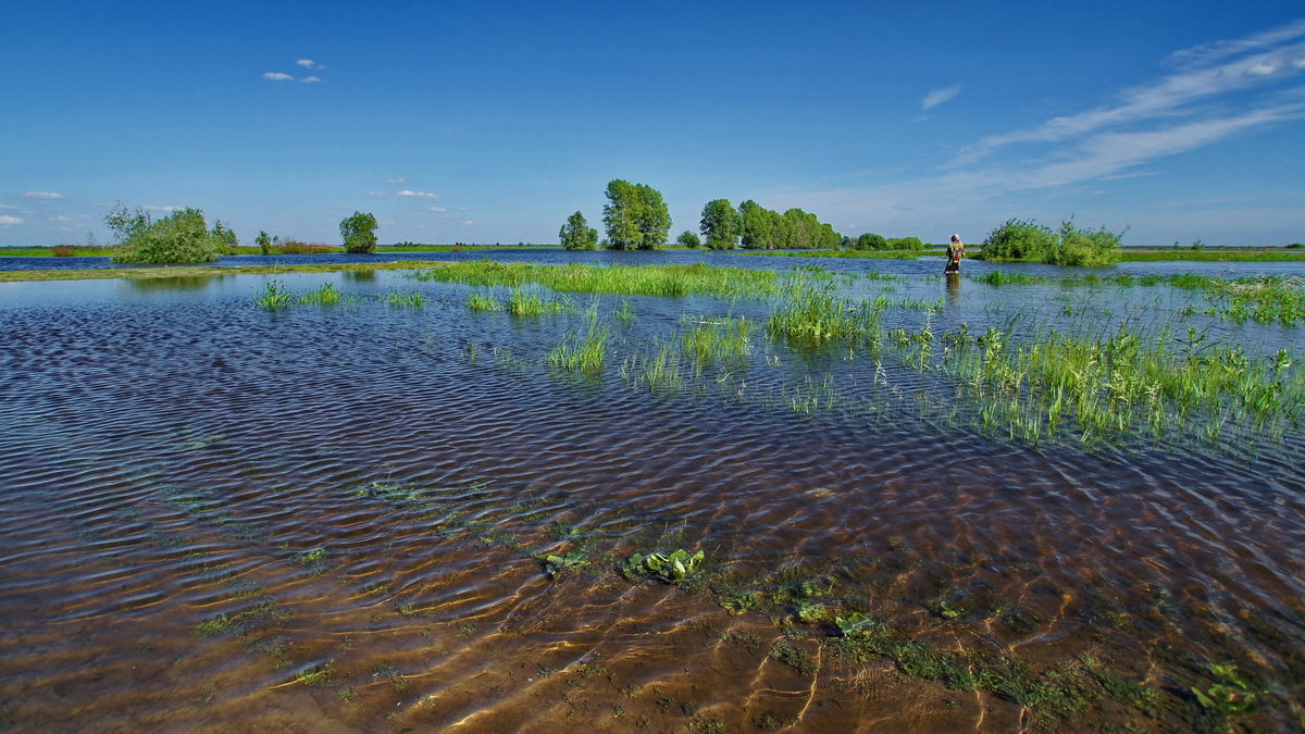 Большая вода - Виктор Четошников