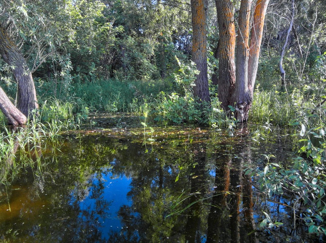 Вода - Владимир Сквирский