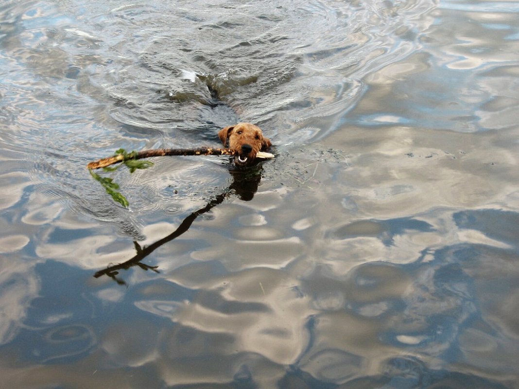 Водные процедуры - Натали Пам