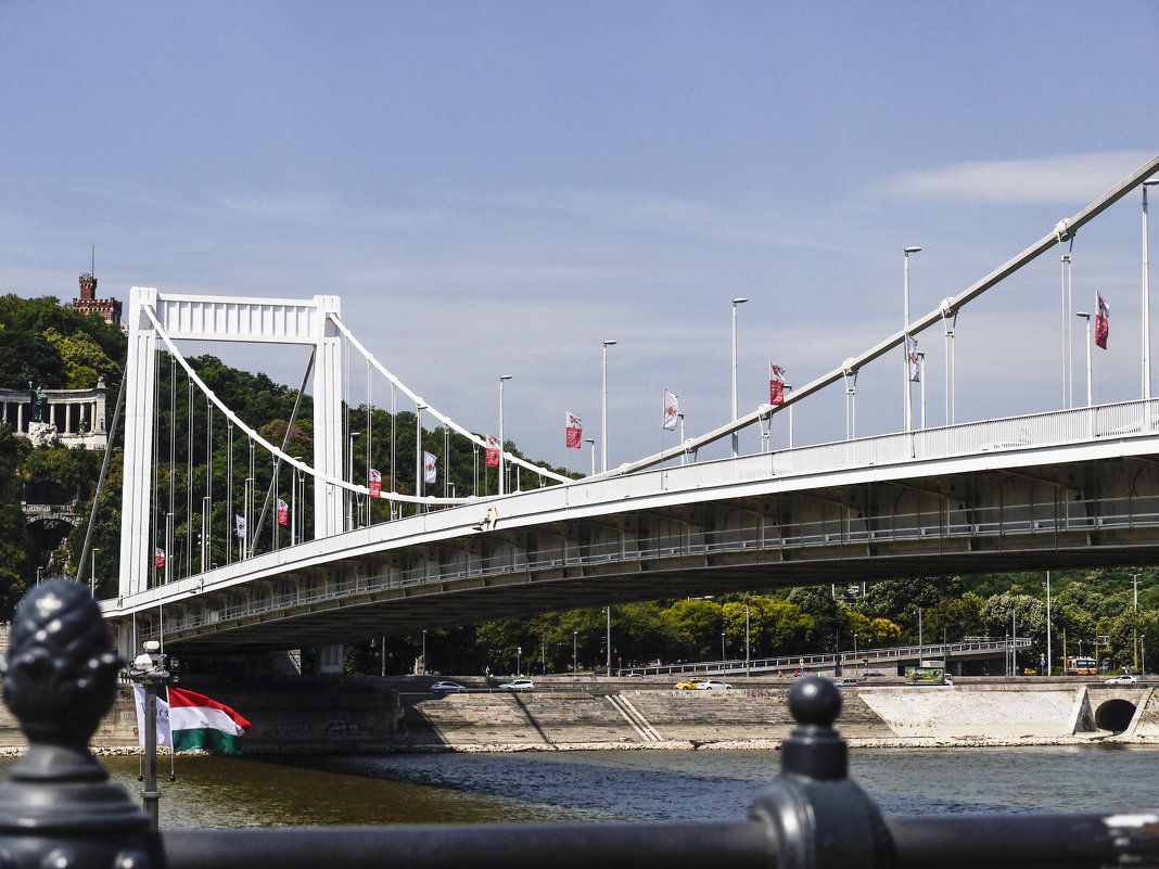 Белый мост Эржбет в Будапеште. - Alla Shapochnik