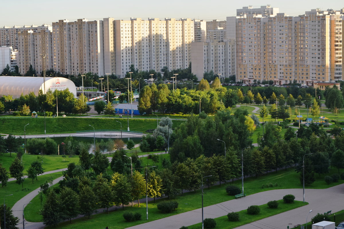 Вид из окна на закате дня на Дюссельдорфский парк. - Татьяна Помогалова