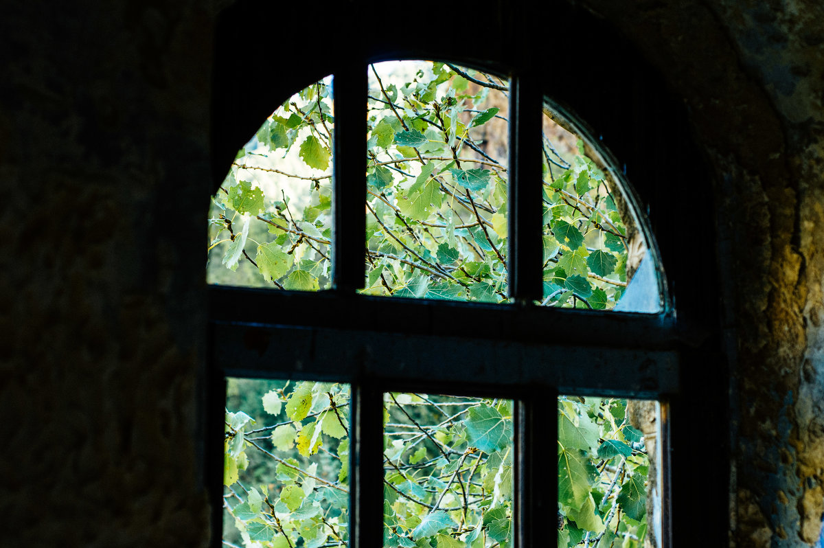 Окно в природу - Galina Pryadko
