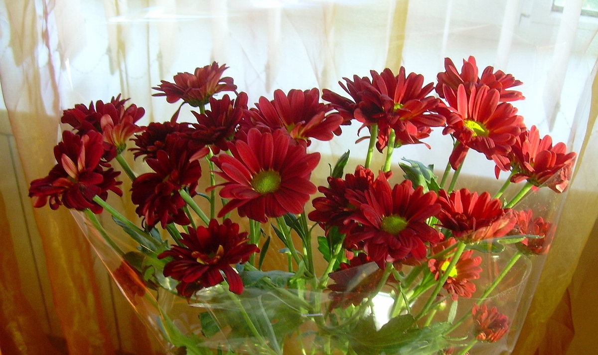 Букет цветов - татьяна 