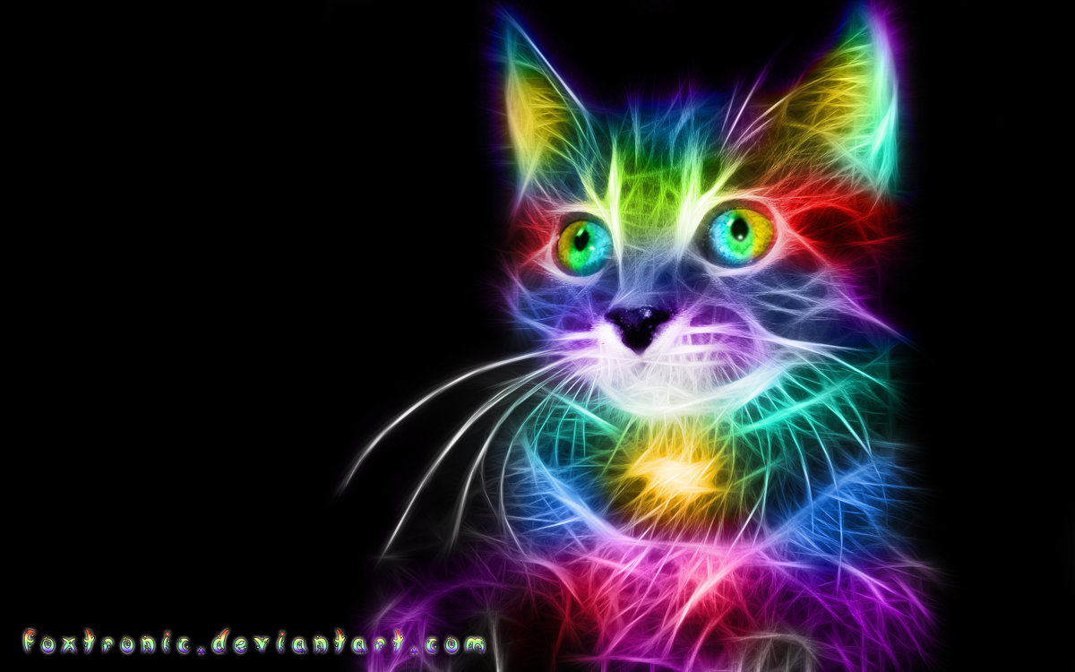 Rainbow Cat - Andy Kloxx Foxtronic