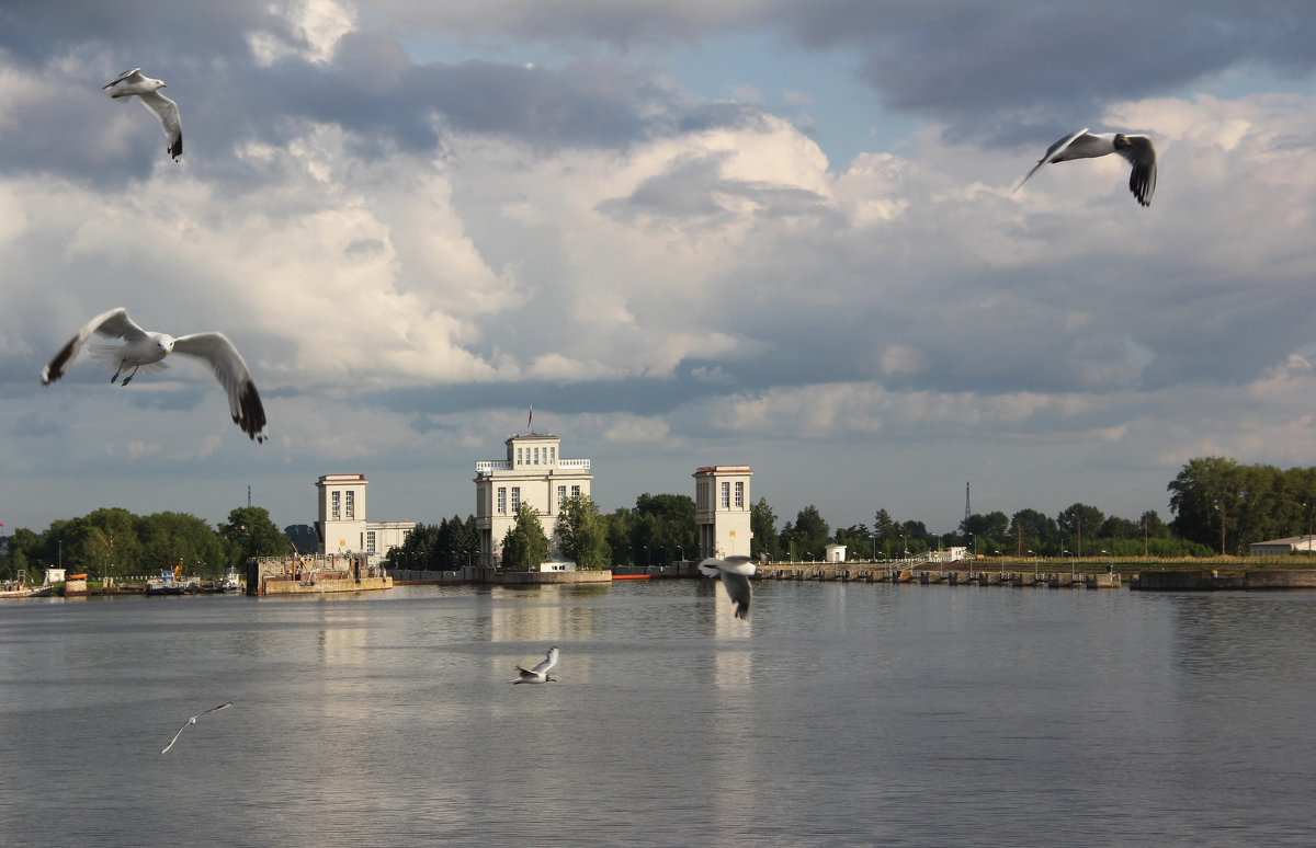 Городец - Александр Алексеев