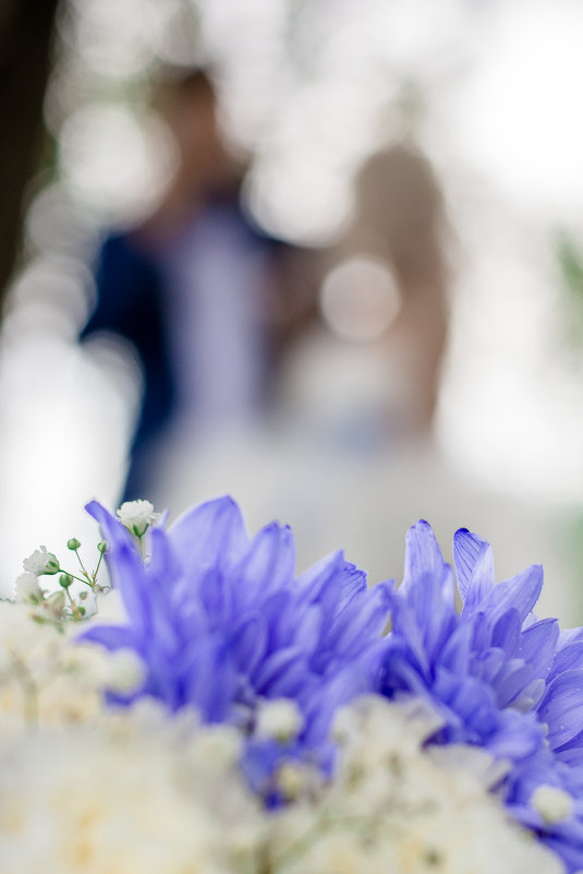 Свадьба в синем цвете - Оксана Чёрная