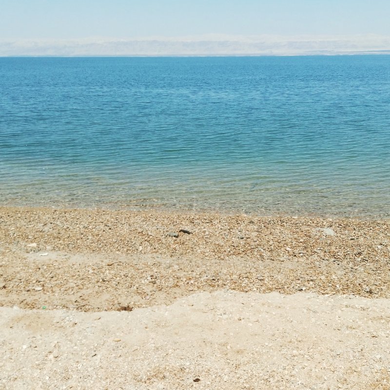 Мертвое море - Анастасия Смирнова 