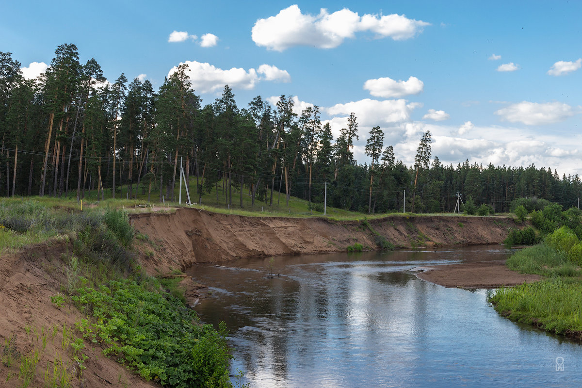 Река Боровка, Бузулукский бор - Олег Манаенков