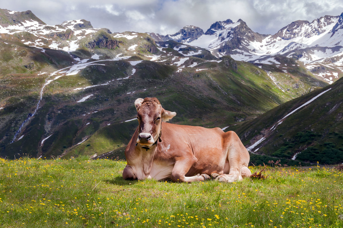 Отдых в Альпах..Silvretta-Stausee Австрия - Olga Ger