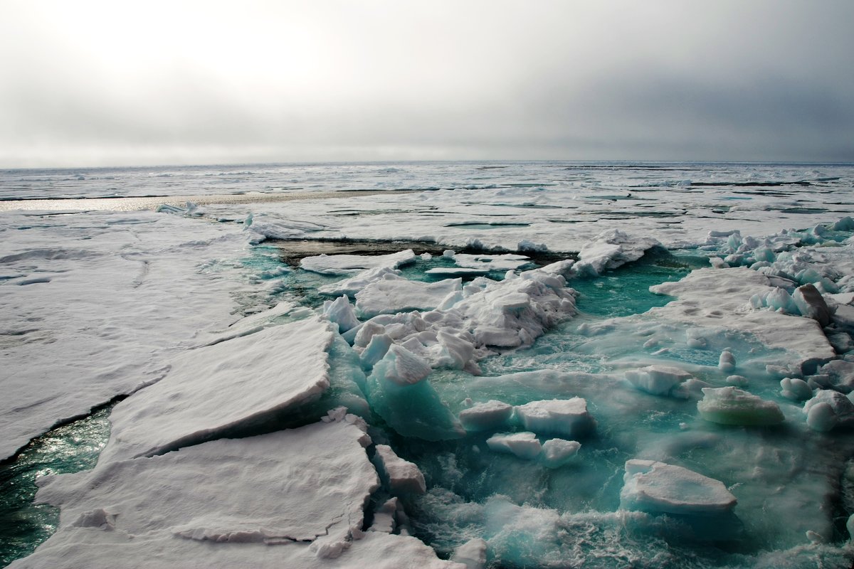 Арктика во льдах - Tatiana Belyatskaya