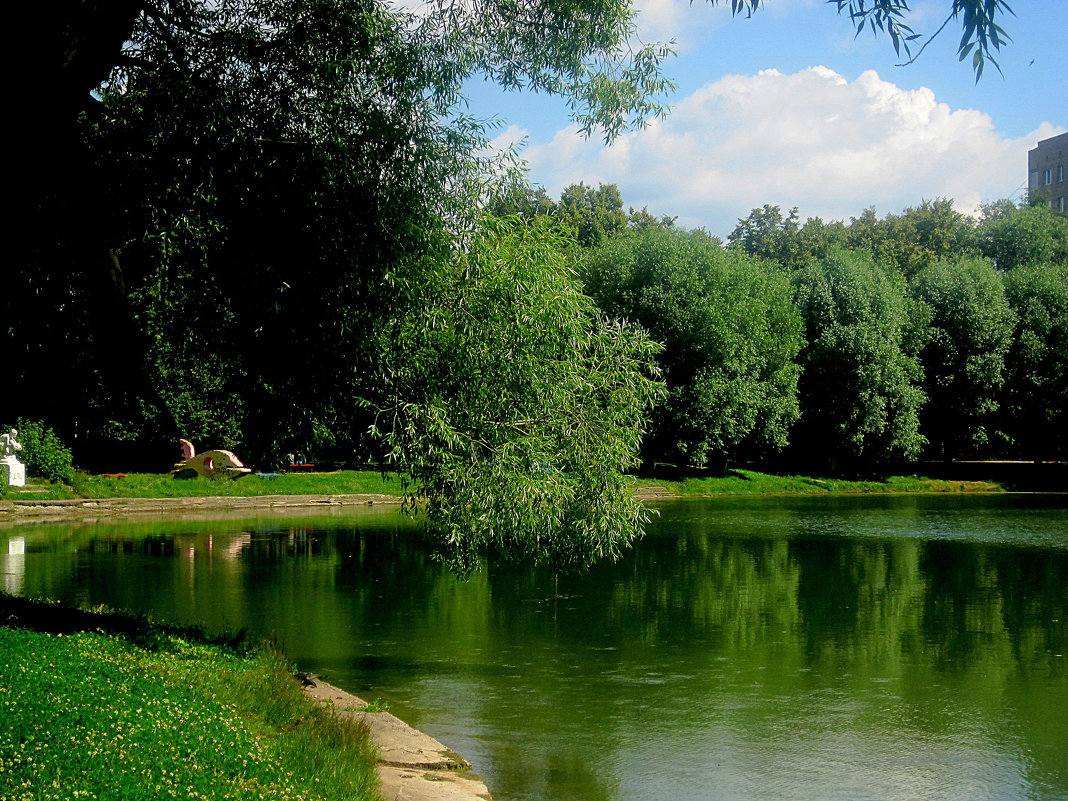 Летом на озере г.Раменское - Елена Семигина