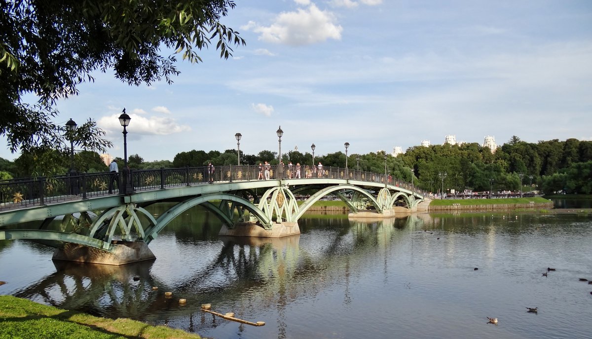 пешеходный мост в парке - Валентина. .
