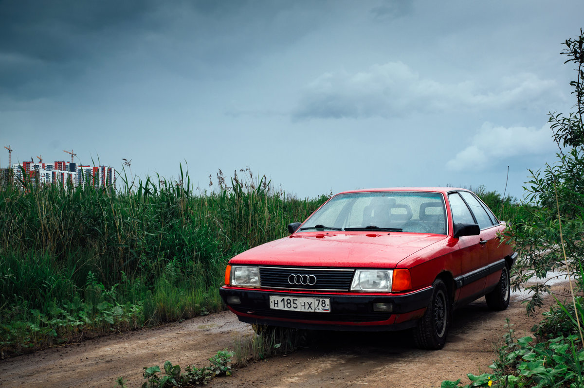 Audi 100 - Александра Павлова