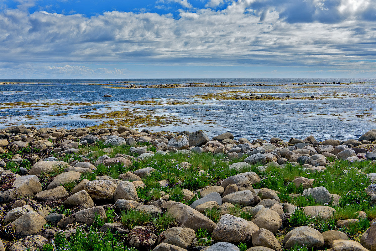 Белое море картинки фото