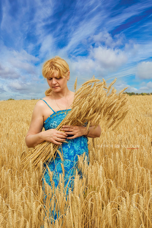 Пшеничный цвет - Андрей Володин