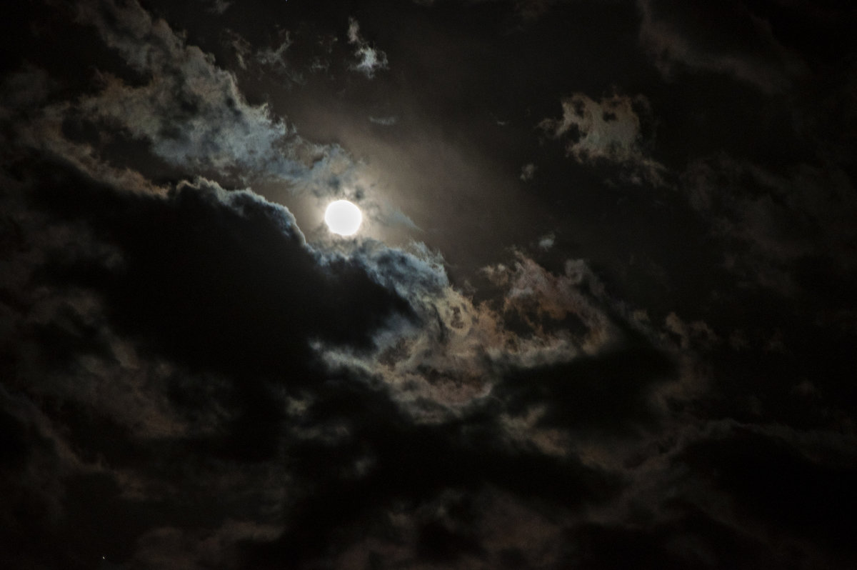 в ночи луна - Елена 