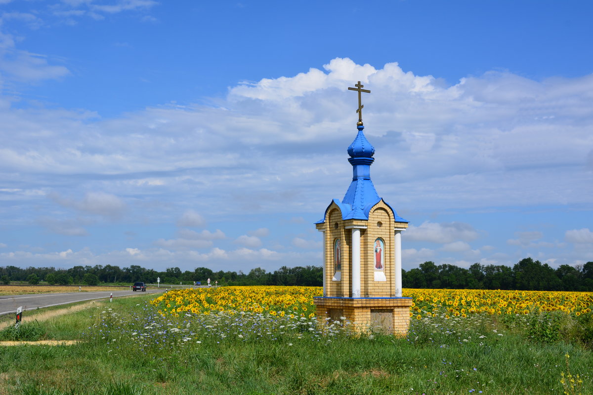 ** - Петр Заровнев