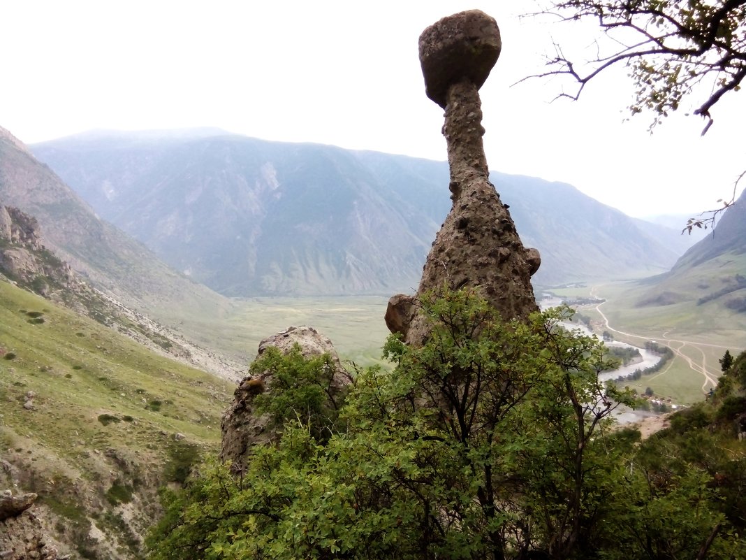"Каменные грибы" (вид на долину реки Чулышман) - Юрий ВОВК