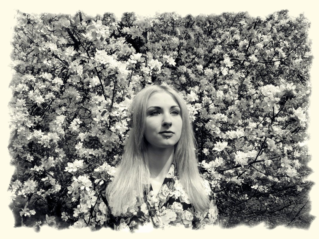 Яблони цветут - Наталья 