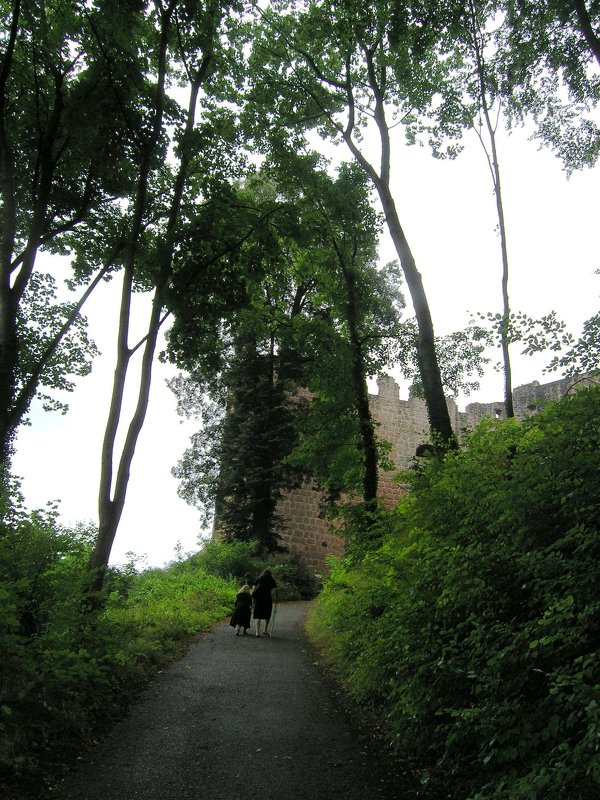 Замок на вершине холма - Tanja Gerster