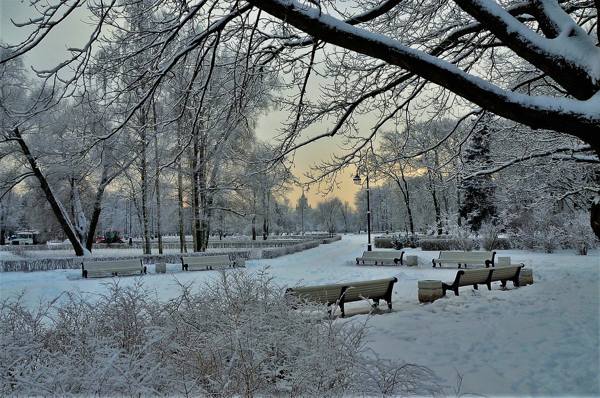 В зимнем Парке... - Sergey Gordoff