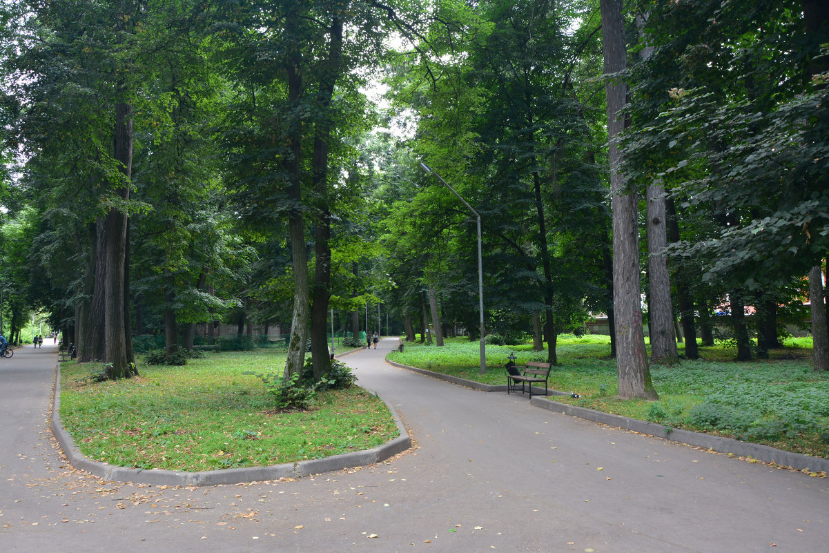 Дорожка в парке, как подкова - Александр Буянов