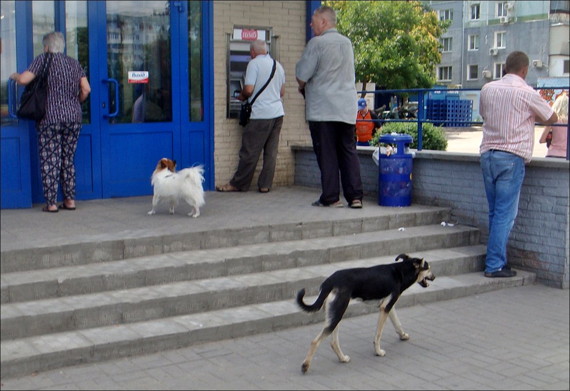 Мимоходом - Нина Корешкова