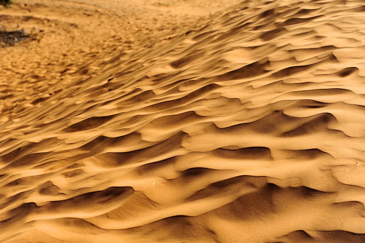 Пески Сахары - Роберт Гресь