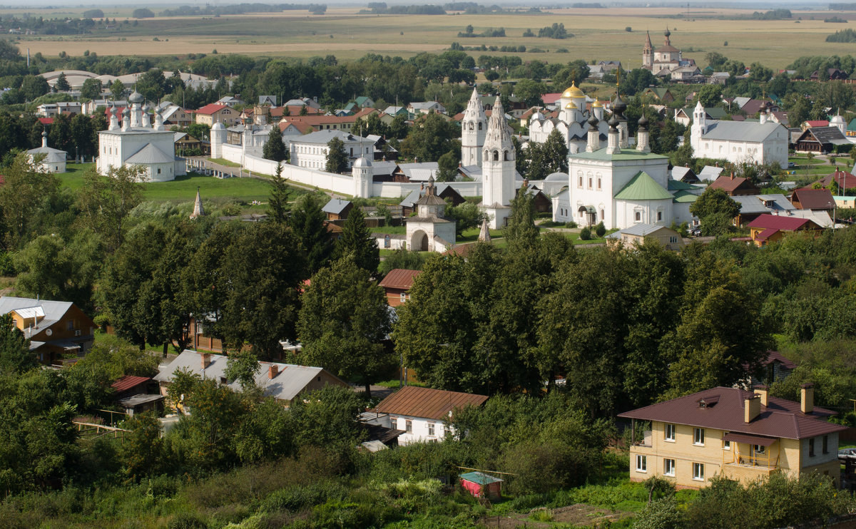 Покровский монастырь - Наталья Левина