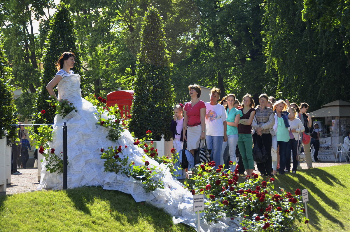Невесты на примерке - Николай Танаев