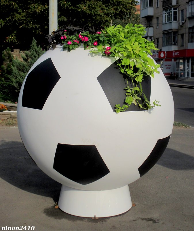 Футбол и цветы - Нина Бутко