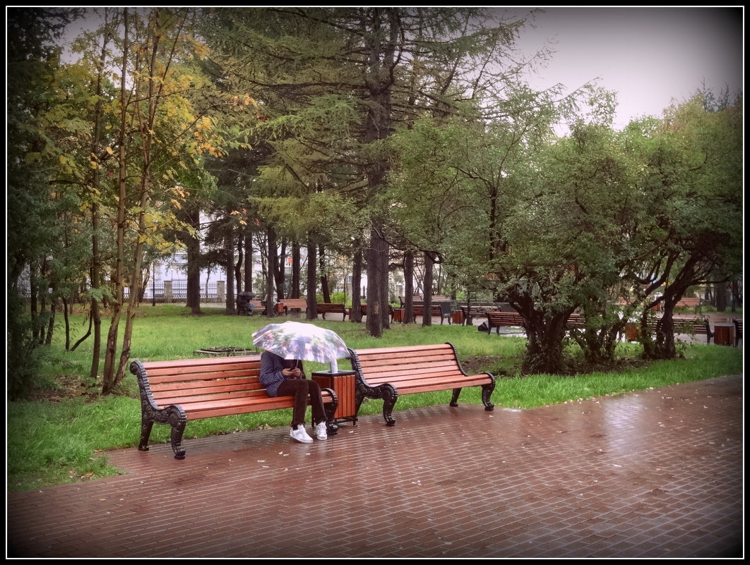 Дождь - не помеха - emaslenova 
